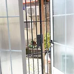 Orchide Mine Peza Lejlighed Tirana